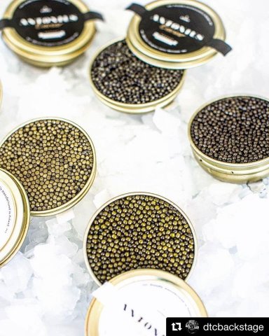 antonius caviar siberian